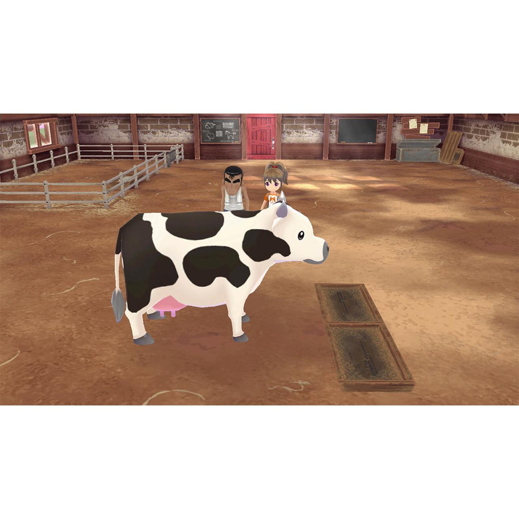 STORY OF SEASONS: A Wonderful Life