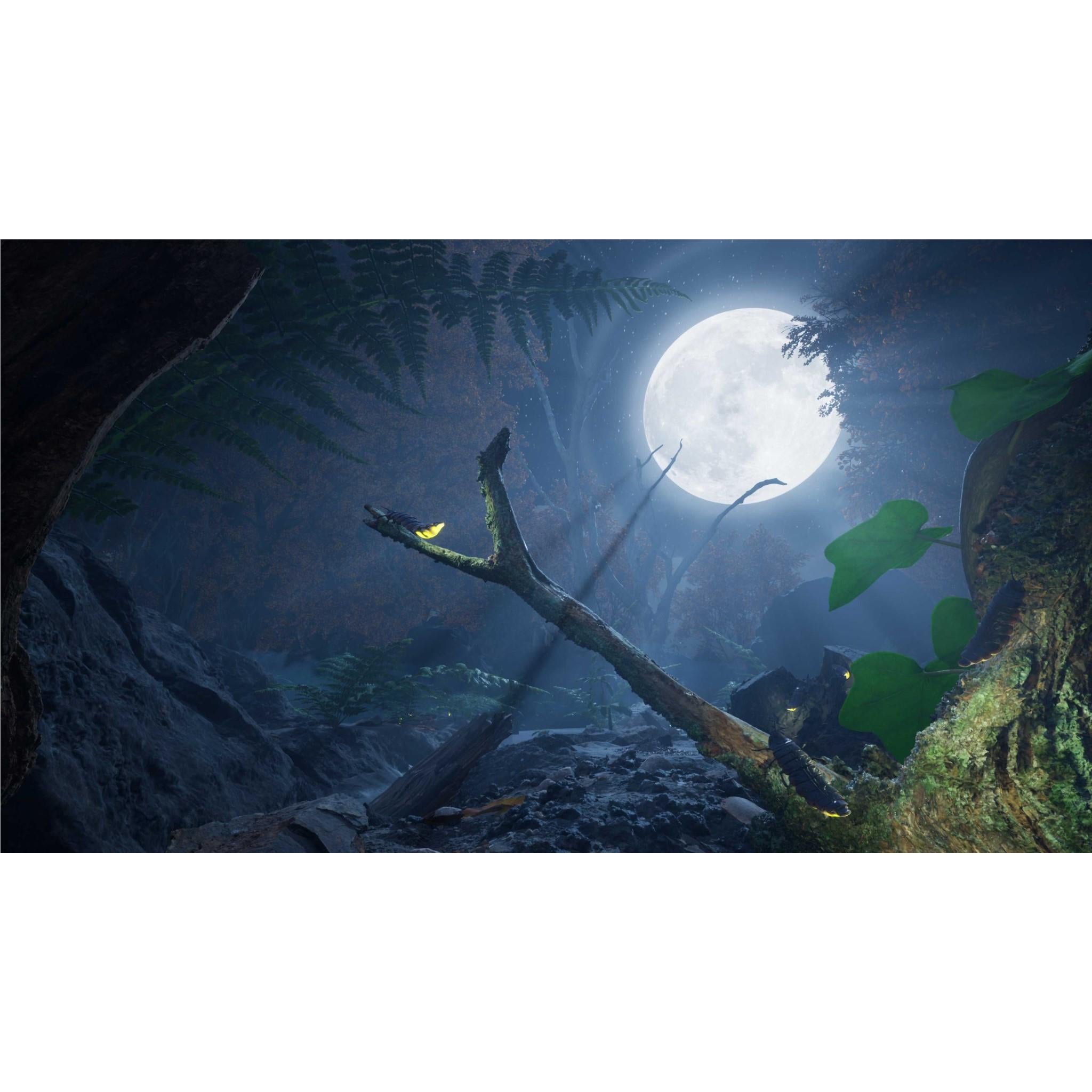 Empire of the Ants Limited Edition