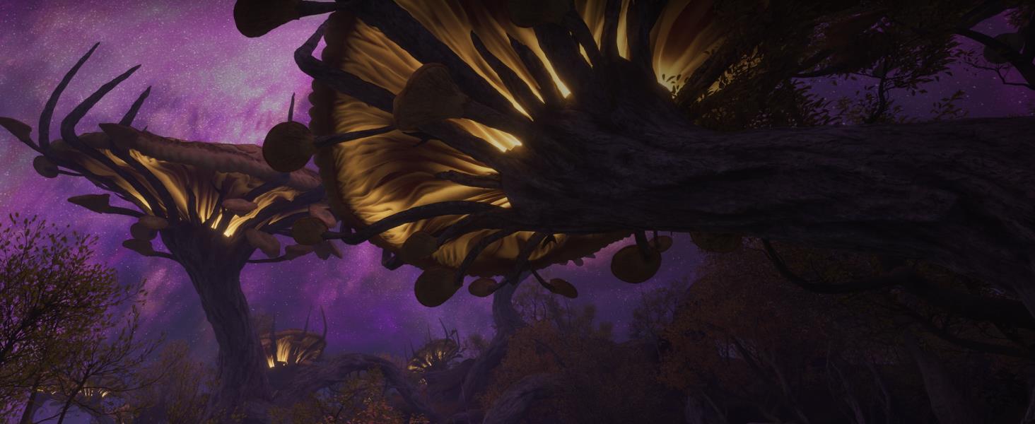 The Elder Scrolls IV: Oblivion Remastered Deluxe Edition